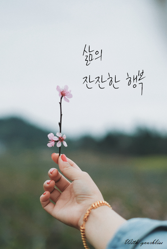 삶의 잔잔한 행복